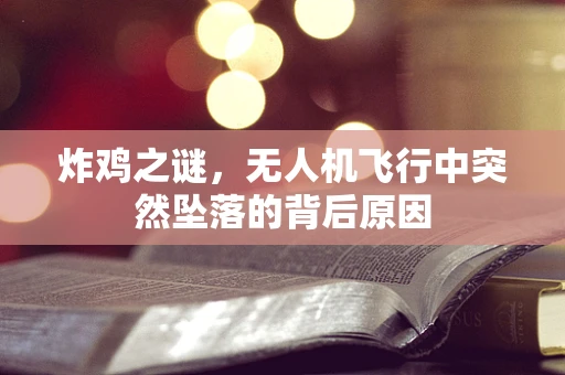 炸鸡之谜，无人机飞行中突然坠落的背后原因