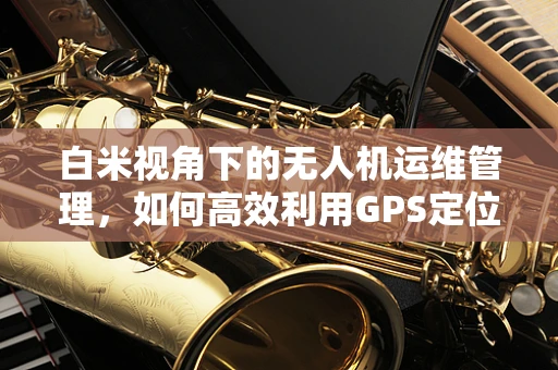 白米视角下的无人机运维管理，如何高效利用GPS定位技术进行精准维护？