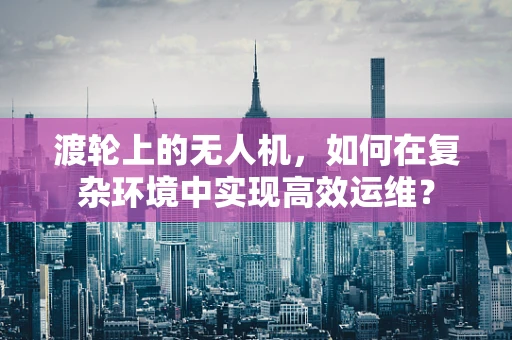 渡轮上的无人机，如何在复杂环境中实现高效运维？