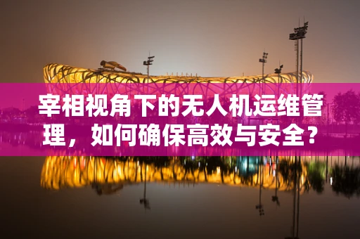 宰相视角下的无人机运维管理，如何确保高效与安全？