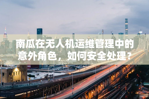 南瓜在无人机运维管理中的意外角色，如何安全处理？