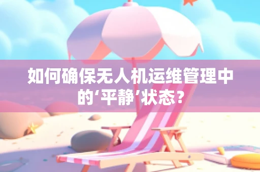 如何确保无人机运维管理中的‘平静’状态？