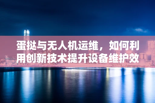 蛋挞与无人机运维，如何利用创新技术提升设备维护效率？