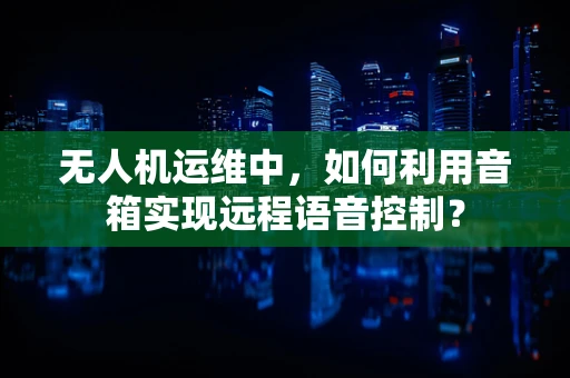 无人机运维中，如何利用音箱实现远程语音控制？