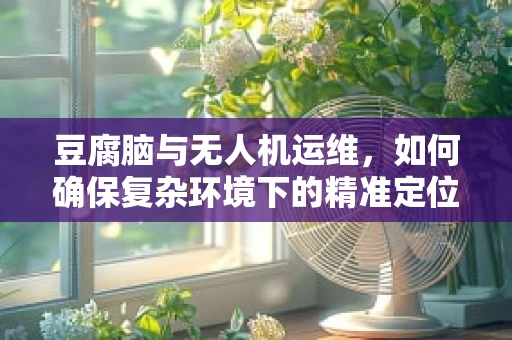 豆腐脑与无人机运维，如何确保复杂环境下的精准定位与维护？