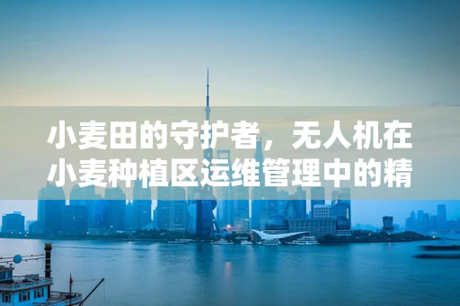 小麦田的守护者，无人机在小麦种植区运维管理中的精准挑战与解决方案