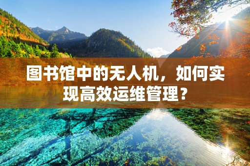 图书馆中的无人机，如何实现高效运维管理？