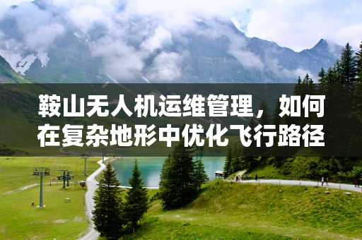 鞍山无人机运维管理，如何在复杂地形中优化飞行路径？