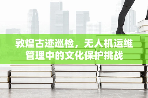 敦煌古迹巡检，无人机运维管理中的文化保护挑战