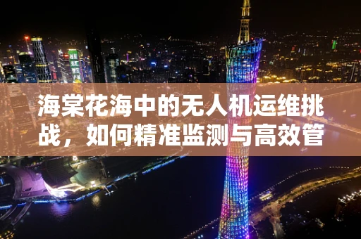 海棠花海中的无人机运维挑战，如何精准监测与高效管理？