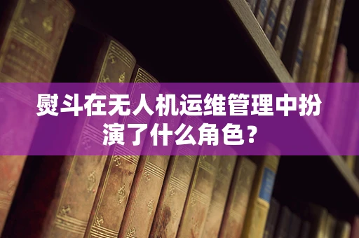 熨斗在无人机运维管理中扮演了什么角色？