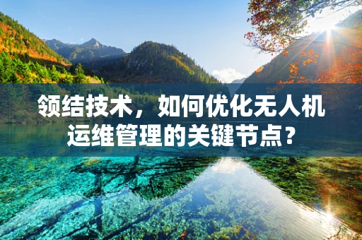 领结技术，如何优化无人机运维管理的关键节点？