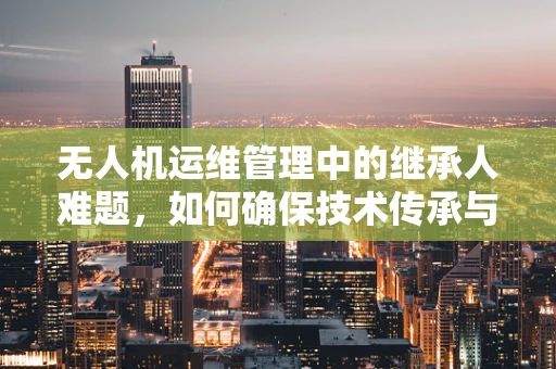 无人机运维管理中的继承人难题，如何确保技术传承与安全接替？
