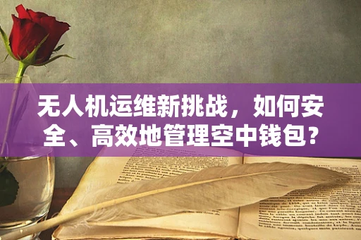 无人机运维新挑战，如何安全、高效地管理空中钱包？