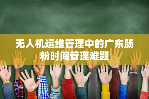 无人机运维管理中的广东肠粉时间管理难题