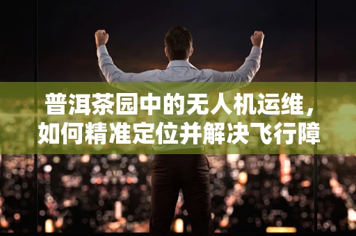 普洱茶园中的无人机运维，如何精准定位并解决飞行障碍？