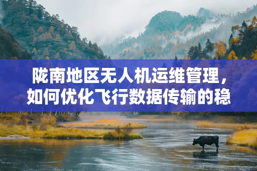 陇南地区无人机运维管理，如何优化飞行数据传输的稳定性？