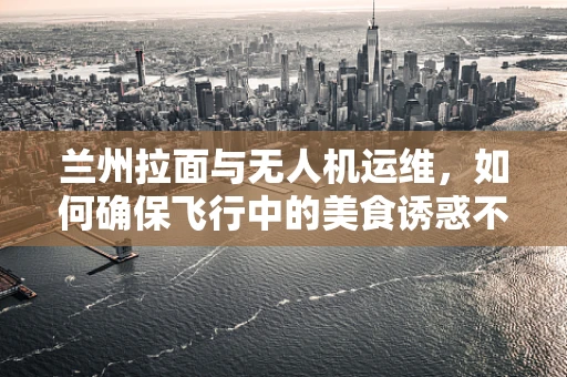 兰州拉面与无人机运维，如何确保飞行中的美食诱惑不干扰任务执行？