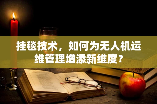挂毯技术，如何为无人机运维管理增添新维度？