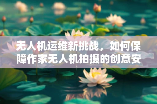 无人机运维新挑战，如何保障作家无人机拍摄的创意安全？