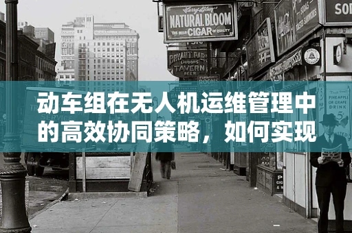 动车组在无人机运维管理中的高效协同策略，如何实现？