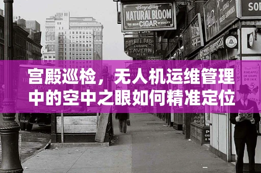 宫殿巡检，无人机运维管理中的空中之眼如何精准定位？