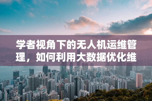 学者视角下的无人机运维管理，如何利用大数据优化维护策略？