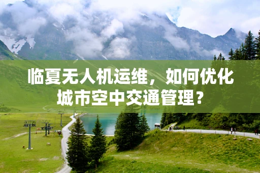 临夏无人机运维，如何优化城市空中交通管理？