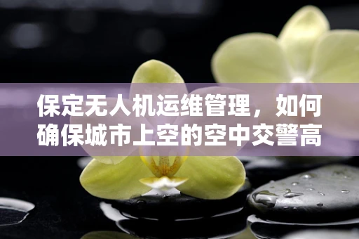 保定无人机运维管理，如何确保城市上空的空中交警高效运行？
