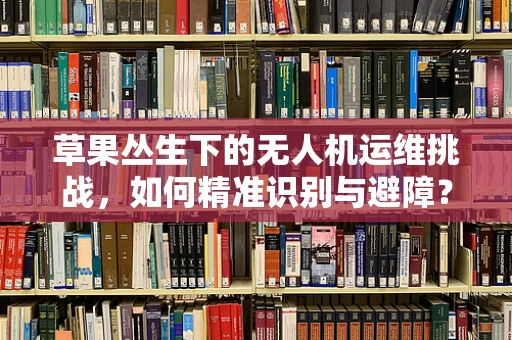 草果丛生下的无人机运维挑战，如何精准识别与避障？