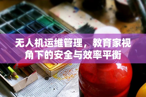无人机运维管理，教育家视角下的安全与效率平衡
