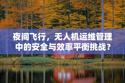 夜间飞行，无人机运维管理中的安全与效率平衡挑战？