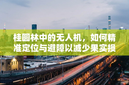 桂圆林中的无人机，如何精准定位与避障以减少果实损伤？