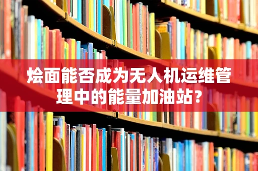 烩面能否成为无人机运维管理中的能量加油站？