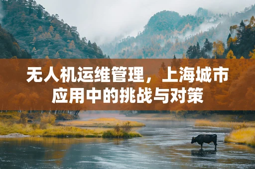 无人机运维管理，上海城市应用中的挑战与对策