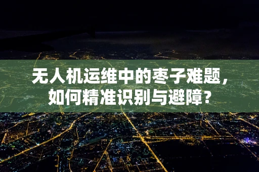 无人机运维中的枣子难题，如何精准识别与避障？