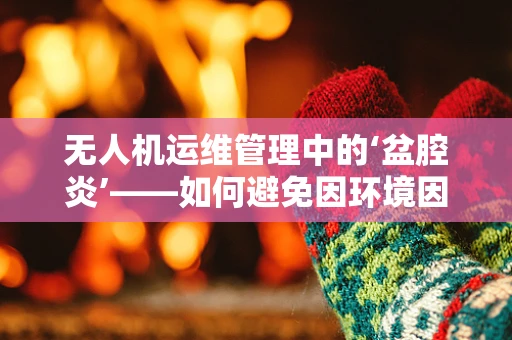 无人机运维管理中的‘盆腔炎’——如何避免因环境因素导致的设备故障？