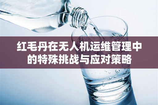 红毛丹在无人机运维管理中的特殊挑战与应对策略