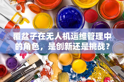 覆盆子在无人机运维管理中的角色，是创新还是挑战？