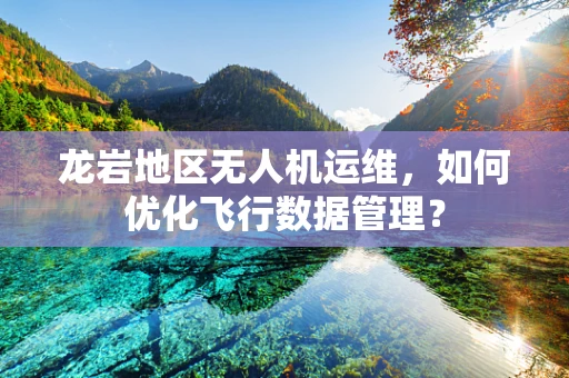 龙岩地区无人机运维，如何优化飞行数据管理？
