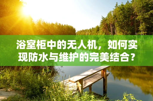 浴室柜中的无人机，如何实现防水与维护的完美结合？