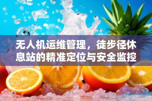 无人机运维管理，徒步径休息站的精准定位与安全监控挑战