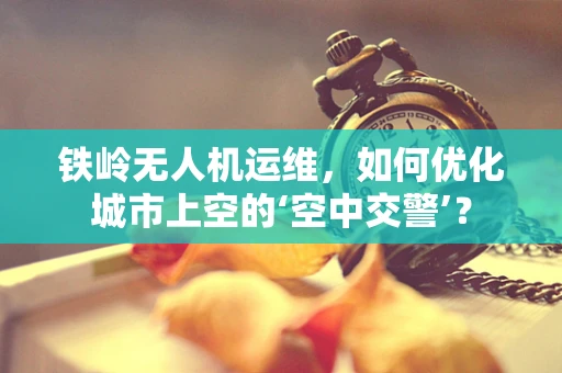 铁岭无人机运维，如何优化城市上空的‘空中交警’？