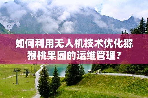 如何利用无人机技术优化猕猴桃果园的运维管理？