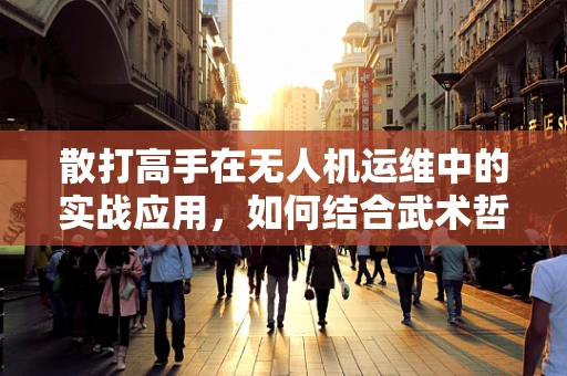 散打高手在无人机运维中的实战应用，如何结合武术哲学提升无人机维护效率？