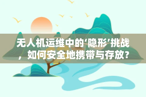 无人机运维中的‘隐形’挑战，如何安全地携带与存放？