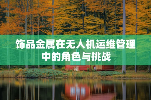 饰品金属在无人机运维管理中的角色与挑战