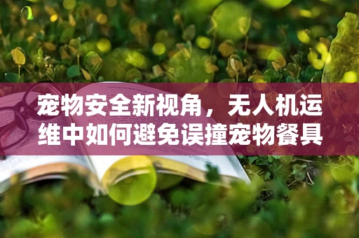 宠物安全新视角，无人机运维中如何避免误撞宠物餐具？