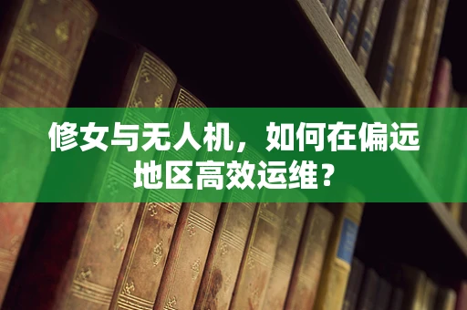 修女与无人机，如何在偏远地区高效运维？