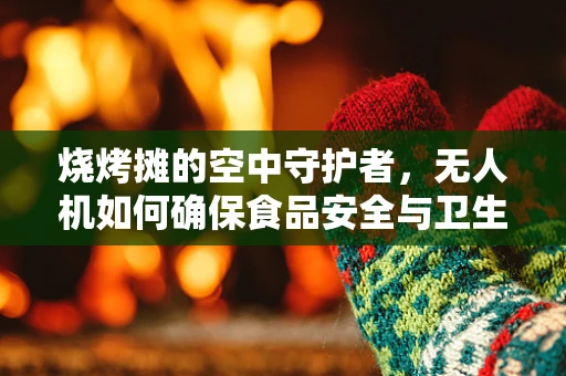 烧烤摊的空中守护者，无人机如何确保食品安全与卫生？